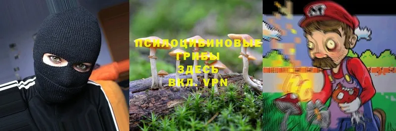 Галлюциногенные грибы Psilocybe  hydra ссылки  Артёмовск 